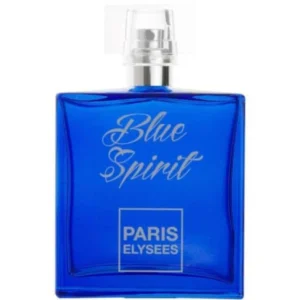 Perfume Blue Spirit Paris Elysees Masculino 100ML